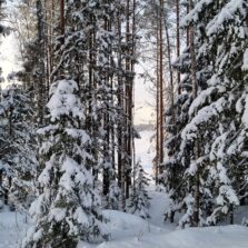 Фото Зима СНТ Заозерное-1. 2021г. ЕвроСистемы