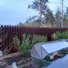 Фото Забор из Евроштакетника Большая Ижора. СНТ Якорь. 2020г. ЕвроСистемы