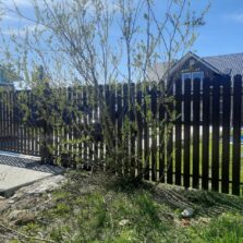 Фото Откатные ворота и калитка из Евроштакетника. Пос Левашово, ул. Высоцкая 2020г. ЕвроСистемы